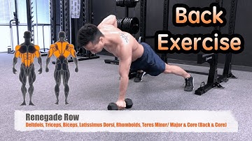 Back - Renegade Row - Exercise Library