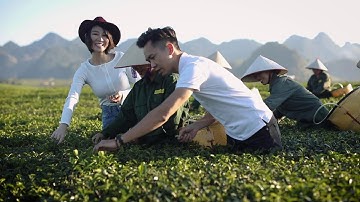 Tour trải nghiệm sản xuất chè Mộc Châu | Vinatea x 2Big Video Production and Commercial Photography
