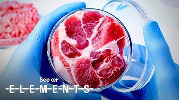 This Breakthrough in Lab-Grown Meat Could Make it Look Like Real Flesh