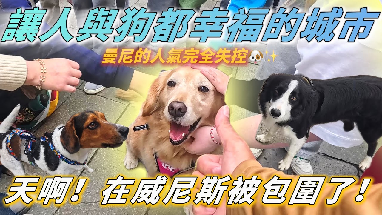 我只是帶狗散步🐶結果在威尼斯被包圍了🇮🇹【PET IN VENICE PART 5 】