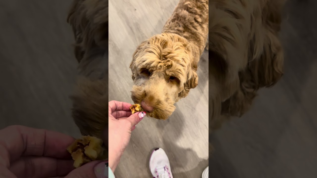 Два лакомства в одном для вашей собаки!