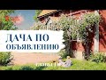 Николай Лейкин // Юмористические рассказы // Дача по объявлению // Главы 1-2