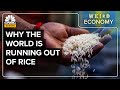 Why rice markets are in crisis mode