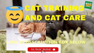 CAT CARE ADN TRAINING TIPS