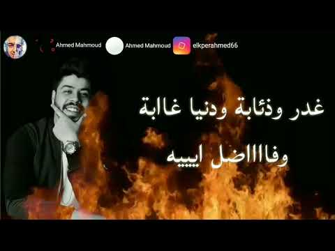 فيلو السويسي احنا الهيبة والدولة 2019