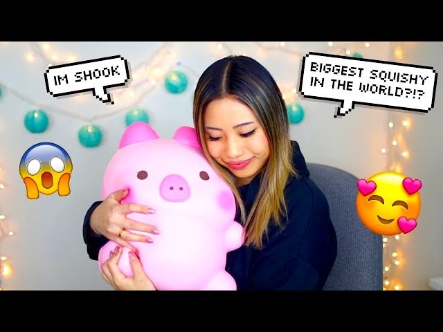 $400 SQUISHY UNBOXING !! BIGGEST SQUISHIES IN THE WORLD !! 