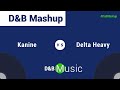 Kanine x Delta Heavy - TAKE ME UP x ASCEND 🟢Mashup