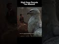 Hippogriffs in Hogwarts Legacy  #hogwartslegacy #hogwarts #hogwartsgameplay