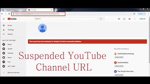 Suspended YouTube Channel URL 2019