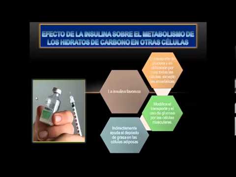 insulina,-glucógeno-y-diabetes-mellitus-fisiología-de-gyton