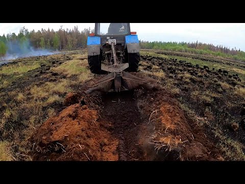Горит торфяник. Тушение лесного пожара. Дежурили 24 часа