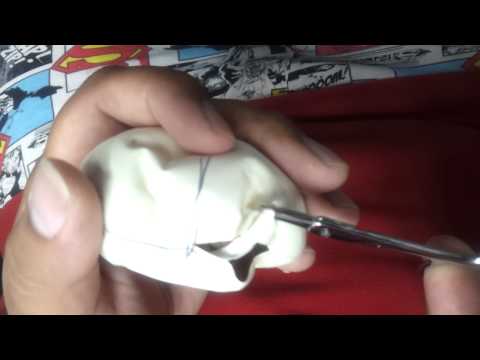 cutting ball python clutch 2012