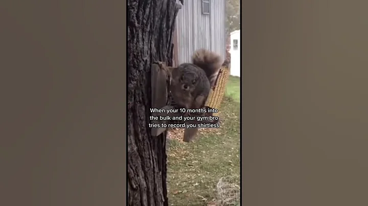 When you’re 10 months into the bulk... #shorts