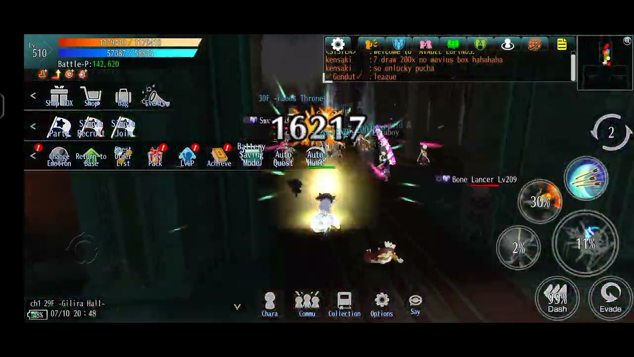 Avabel lupinus Summer festa 2025 event