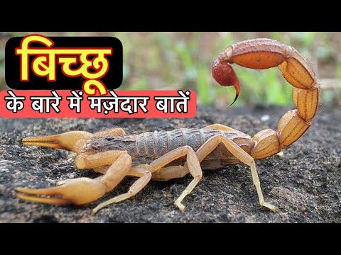 वीडियो: धारणा का प्रिज्म या अदृश्य को कैसे देखें