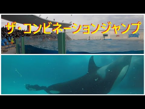 おかえりなさい 怪我から復帰した小松トレーナーさんです Orca Performance