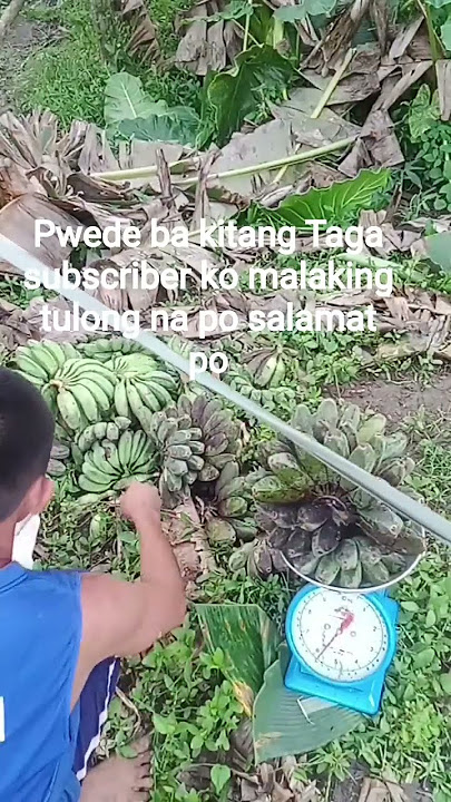 lisod gyod Ning Ang atong pakwarta inanira byaan tag asawa