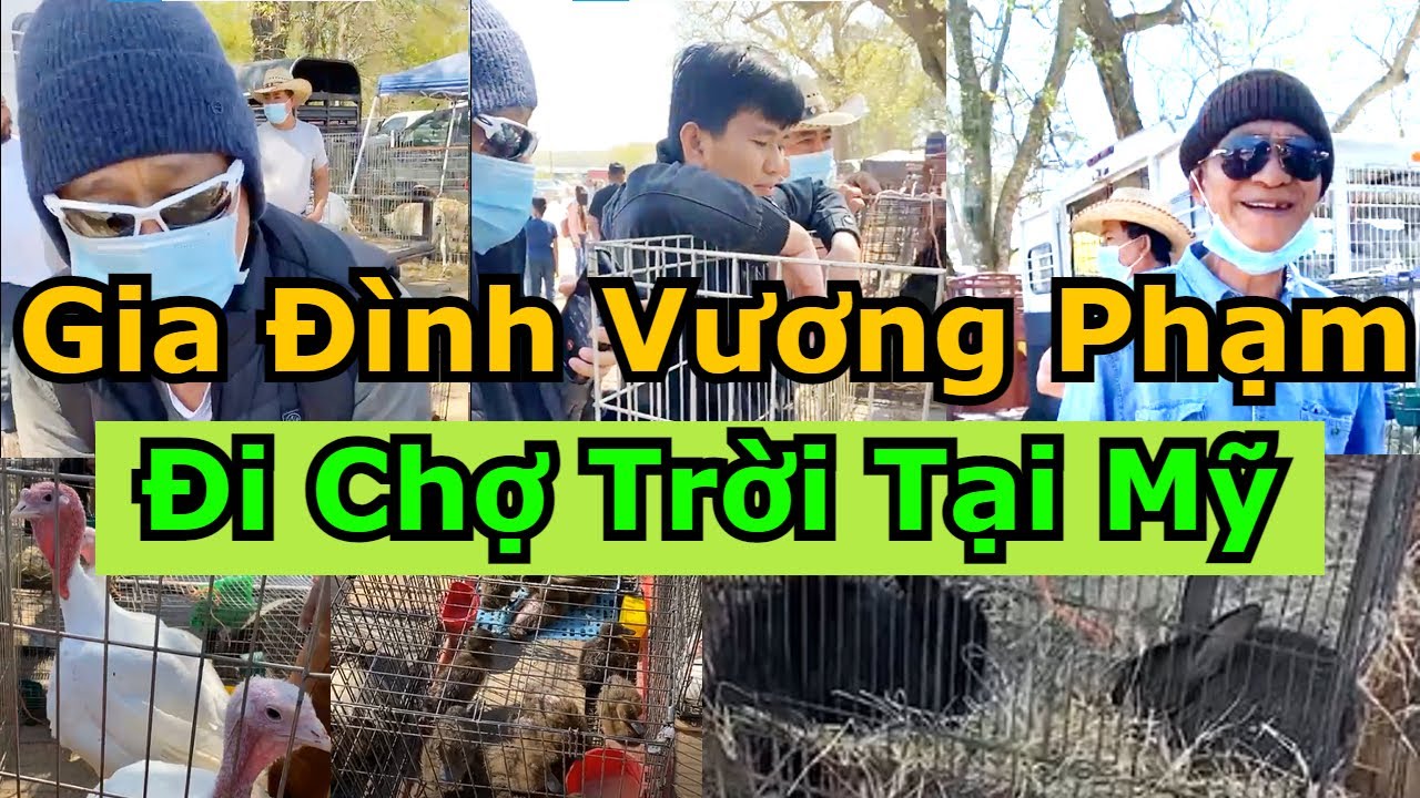 cho troi o my Update 2022 Gặp 2 Thánh Trả Giá - Khám Phá Chợ Trời Tại Mỹ Cùng Gia Đình Vương Phạm || Vuong Pham Family