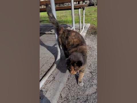 Әйелдерге арналған ашық трикотаж ххх