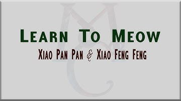 Learn To Meow by Xiao Pan Pan & Xiao Feng Feng [Lyrics & English Translation]
