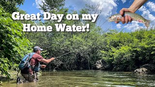 This day started with a BANG! Fly-Fishing Wild Trout - Central NY by Dead Drift Outdoors 2,874 views 10 months ago 20 minutes