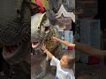 Dinosaurus jatimpark 3 - welcome dance