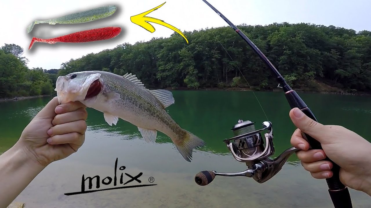 i BASS amano il RA SHAD della Molix! Spinning in Lago