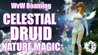 GW2 - WvW Roaming Celestial Nature Magic Druid - Guild Wars 2 Build - Ranger Gameplay End of Dragons