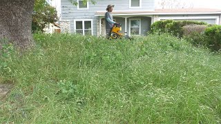 Home Owner in Military haven't been home in 4 years so I HELPED him out with FREE YARD CLEAN UP by MrCris 30,885 views 2 months ago 21 minutes