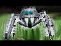 JUMPING SPIDER SIMULATOR