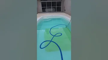 ¿Se puede nadar en una piscina con algas?
