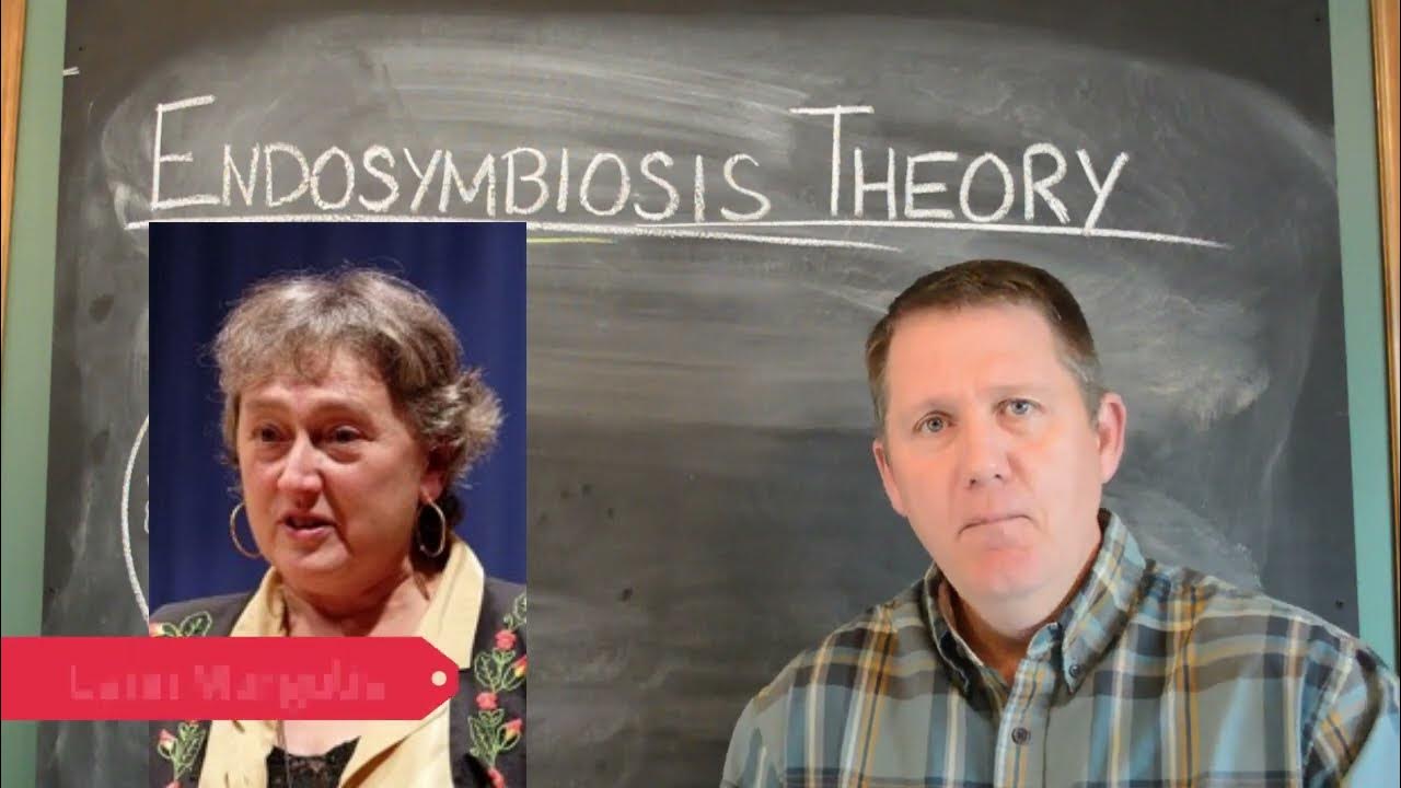 8a Endosymbiosis theory YouTube