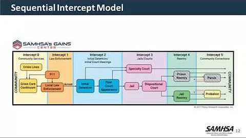 GAINS Webinar- Six Guidelines for Providing AOT to Justice-Involved Clients