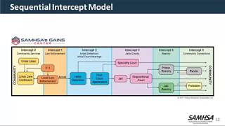 GAINS Webinar- Six Guidelines for Providing AOT to Justice-Involved Clients