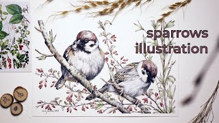 Ink and Watercolour Bird Illustration • Relaxing Art Time Lapse • Spring Walk
