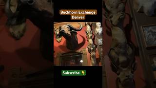 Buckhorn Exchange Denver Colorado