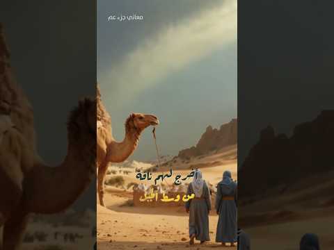 ناقة الله وسقياها نافلة قصص معانى جزء عم Nafelatn 