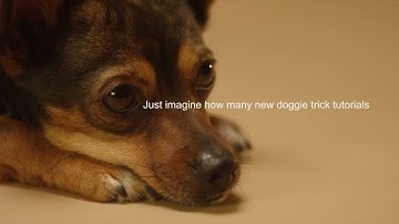 Affordable Connectivity Program NEW Tablet with Free Internet