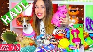 МЕГА ОБЗОР  24 РАЗНЫЕ ИГРУШКИ ДЛЯ СОБАКИ TRiOL  | ПОКУПКИ ИЗ ЗООМАГАЗИНА  HAUL | Elli Di Pets