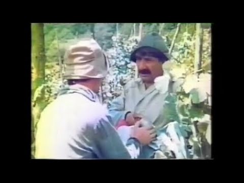 \"ყველაზე სწრაფები მსოფლიოში\" - საზრიანი და მოხერხებული