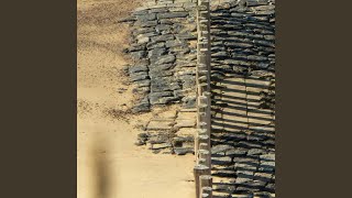 The Bus Ticket I Never Used