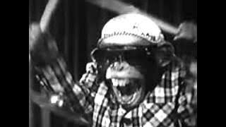 Webbstar bragga mix mookey riddem