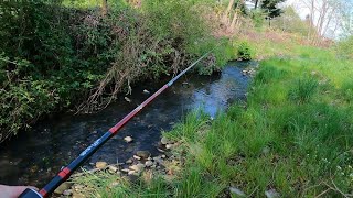 Крупний Голавль На Струмку. Відмінна Рибалка Получилась