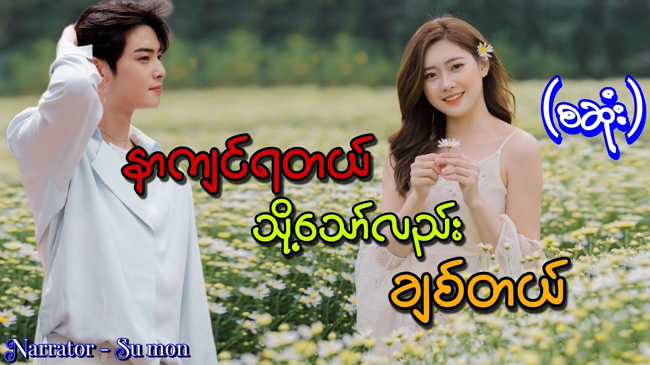 နာကျင်ရတယ်သို့သော်လည်းချစ်တယ်(စဆုံး) #tzaudiobook#romantic#love#sumon