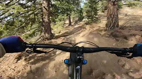 Climbing Portal, A Local Colorado Green!