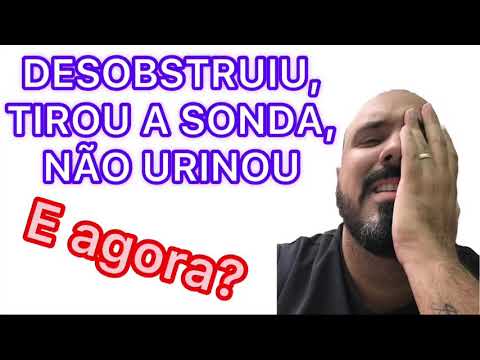 Vídeo: O que esperar após a cistotomia em cães?