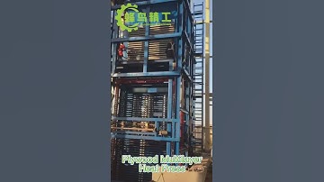 Factory direct sale Plywood Complete Hot Pressing Machine with Loading and Unloading Machine