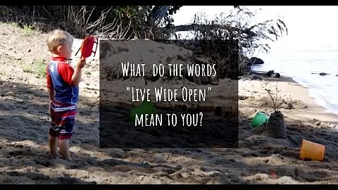 Live Wide Open DEFINITIONS: Matt and Shelli Allen,...