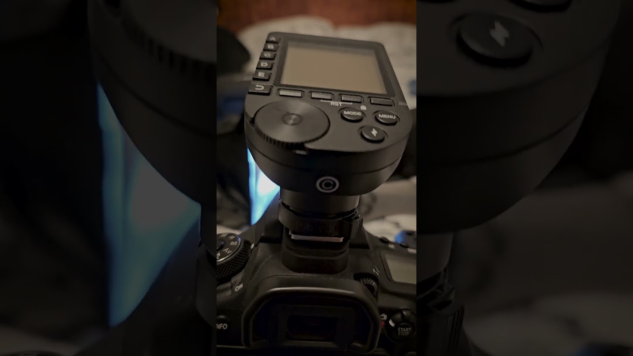 Field Cricket Behind the Scenes