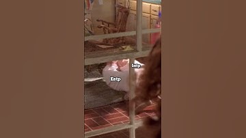 #estj  and #estp / #intp / #infj  what a lovely family..😁